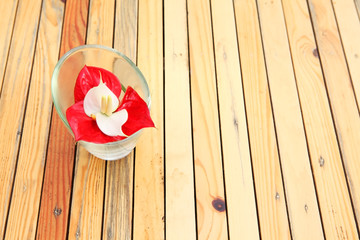 flower on wooden panel