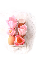 Spring Easter decoration tulips in eggshells on a white backgrou