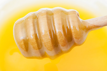 wooden stick in yellow honey close up