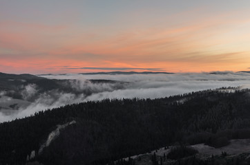 Obraz premium Carpathian mountains in the clouds, sunrise seen from Wysoka mountain in Pieniny, Poland
