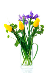 green chrysanthemums and yellow tulips with purple flower in white vase on an isolated background