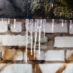 Obraz na płótnie Canvas icicles on roofing felt of house with brick wall