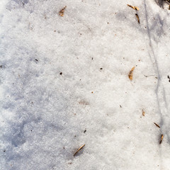 ice crust on snow surface in cold winter day
