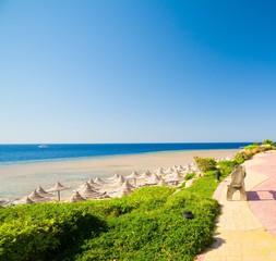 Naklejka premium Egypt. Red sea day!