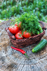 Basket and wooden plate with fresh vegetables