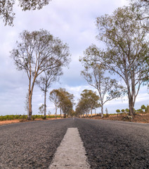 Fototapeta premium Long asphalt road on the beautiful countryside.