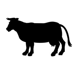 Obraz na płótnie Canvas Black silhouette of cow isolated on white background. Simple flat vector illustration, EPS 10.