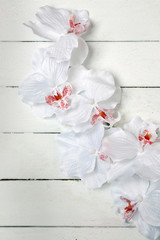 Fake white orchid flowers isolated on a white background.