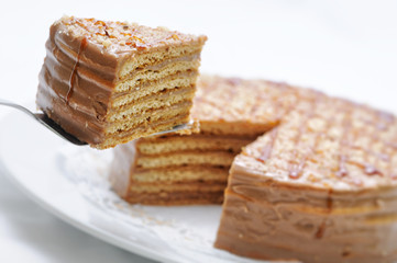 Caramel cake with topping on metal spoon, birthday cake on white plate, patisserie, photography for shop