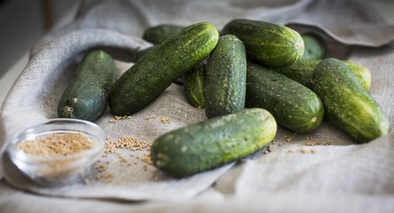 Cucumbers for Pickles