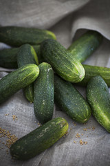 Cucumbers for Pickles