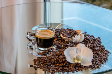 espresso zur orchidee