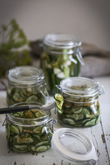  Pickled Cucumber