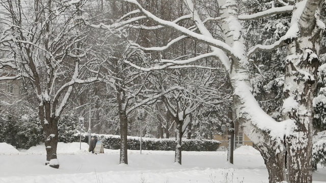 Snowy winter. City traffic, pedestrians, snow. Snowflakes are are falling and flying by.