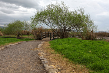 Early Spring in the Park