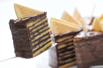 sponge cake with chocolate cream and cookies on metal spoon, birthday cake on white plate, patisserie, photography for shop