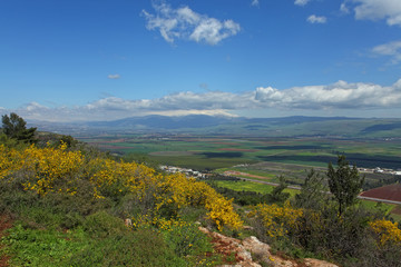 Fototapeta na wymiar Landscape With Golan Heights,Israel
