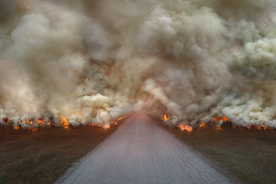 Natural disaster with big fire on the road