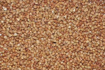 Buckwheat