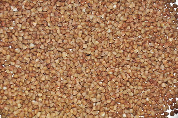 Buckwheat