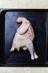 Raw uncooked chicken, natural farmer's meat