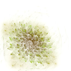 Abstrakte fraktale Blüte © D.Steindorfer 