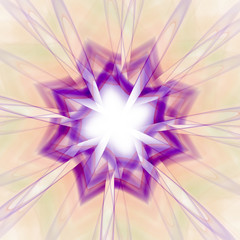 Fraktal floral © D.Steindorfer 