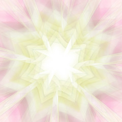 Fraktal floral © D.Steindorfer 