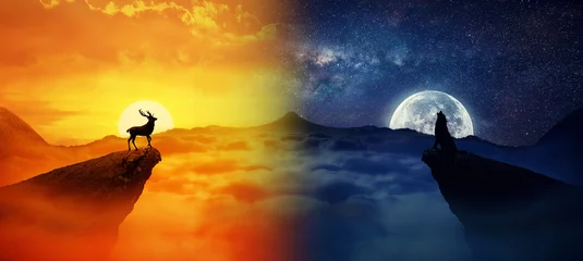 Silhouette of a lonely deer and a howling wolf standing on different cliffs against. Wild life landscape scene screen saver. Day vs Night, Moon vs Sun © psychoshadow