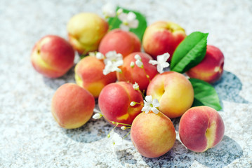 fresh apricots