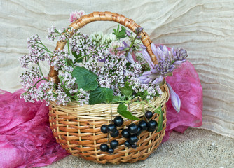 Fototapeta na wymiar корзина с полевыми цветами и гроздь ягод черной смородины