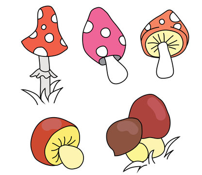 Collection of cartoon different mushrooms. 