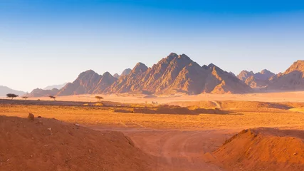  Egypte woestijn © erainbow