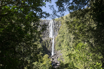 Gran cascada, Wairere Falls. Isla Norte de Nueva Zelanda