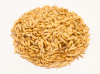 grain oats and oatmeal