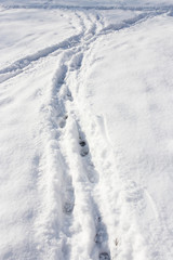 Fototapeta na wymiar path in the snow on the nature