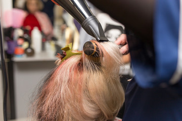 blow-drying in a beauty salon