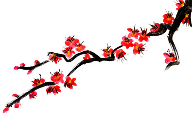 A branch of a blossoming tree. Pink flowers of sakura . Watercolor painting. Isolated on white background.