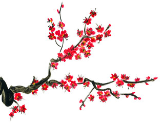 A branch of a blossoming tree. Pink flowers of sakura . Watercolor painting. Isolated on white background. © marinakutukova