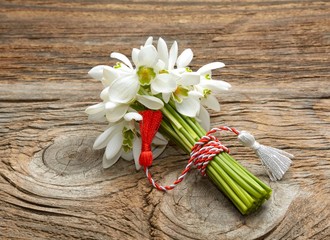 snowdrops bunch