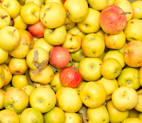 Apples as background