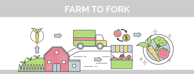 From farm to fork flat vector thin line scribble header banner illustration. Sows how organic food makes its way from farm to your plate. © medejaja
