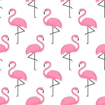 Flamingo seamless pattern on white background. Flamingo vector background design for fabric and decor.