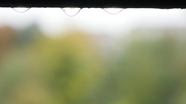 Rain drops falling from the roof in a row weather natural background 4K 2160p 30fps UltraHD footage - Shallow DOF droplets ow water on the window top 4K 3840X2160 UHD video 