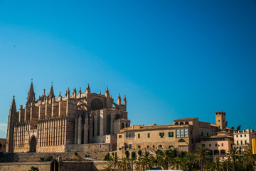 Fototapeta na wymiar Cathedral of Palma de Mallorca. 