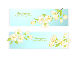 banner with spring flowering branches