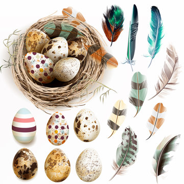 Vector collection with Easter eggs bird nest feathers in vintage