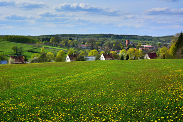 Spring country landscape