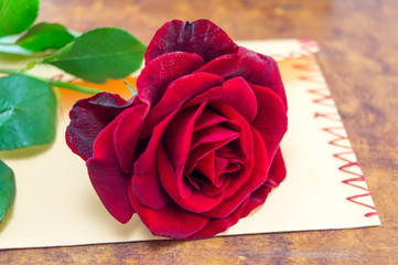 Red rose on a romantic envelope