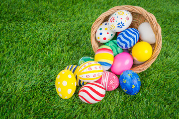 Basket of easter eggs  on Fresh Green Grass
